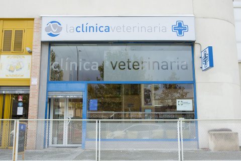 Centro veterinario Cat Friendly  de Rivas