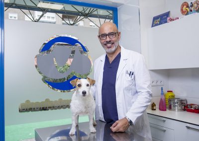 Veterinarios con mucha experiencia