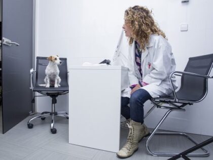 Planes de Salud Veterinarios para mascotas