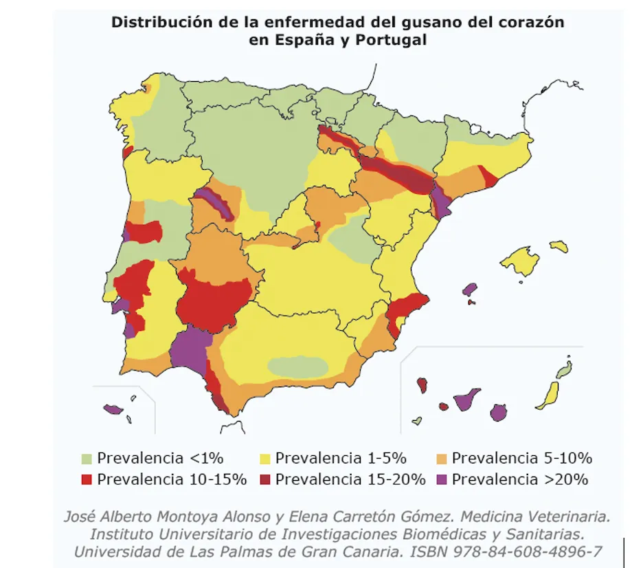 Mapa de la incidencia de la filaria en España