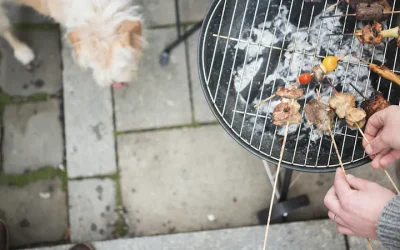 Las barbacoas pueden ser peligrosas para los perros