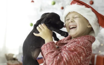 El significado de regalar una mascota: cosas a tener en cuenta antes de adoptar un perro o un gato