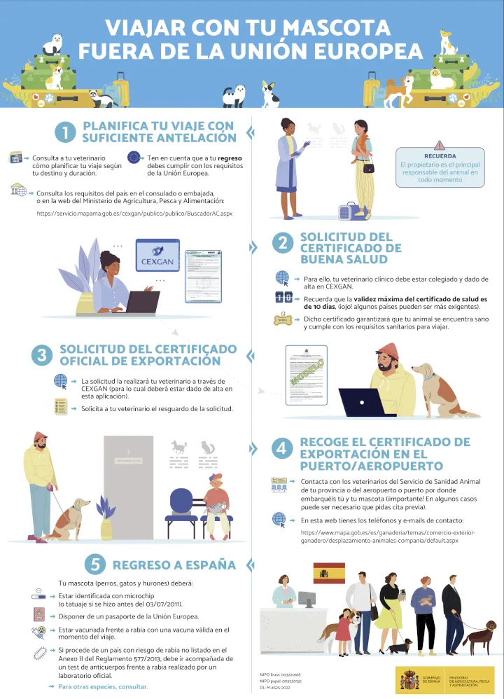 Qué necesitas para viajar con tu mascota