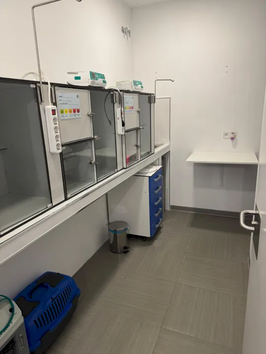 Zona de hospitalización exclusiva para gatos